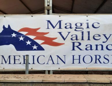 Magic Valley Ranch American Horses