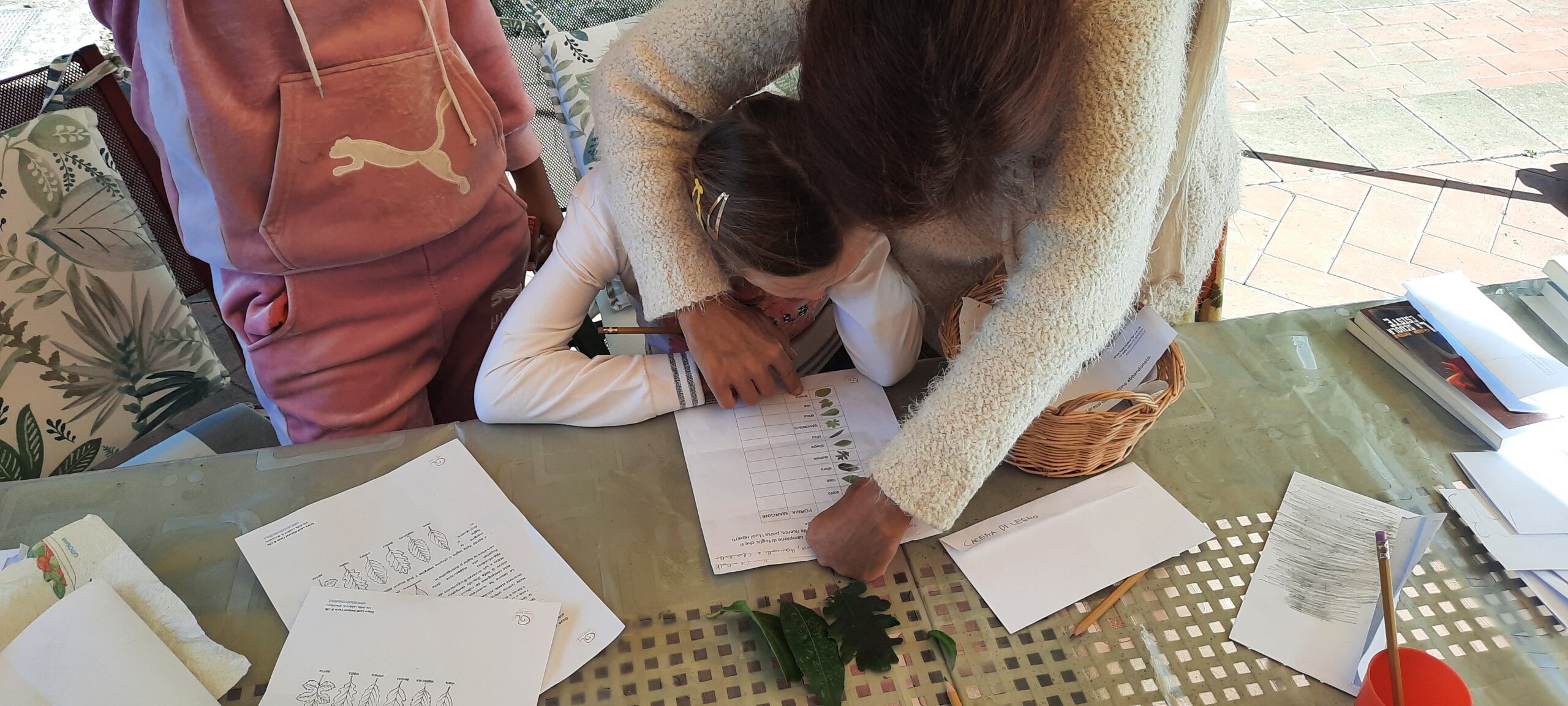 Quando la matematica e la geometria si incontrano in natura…