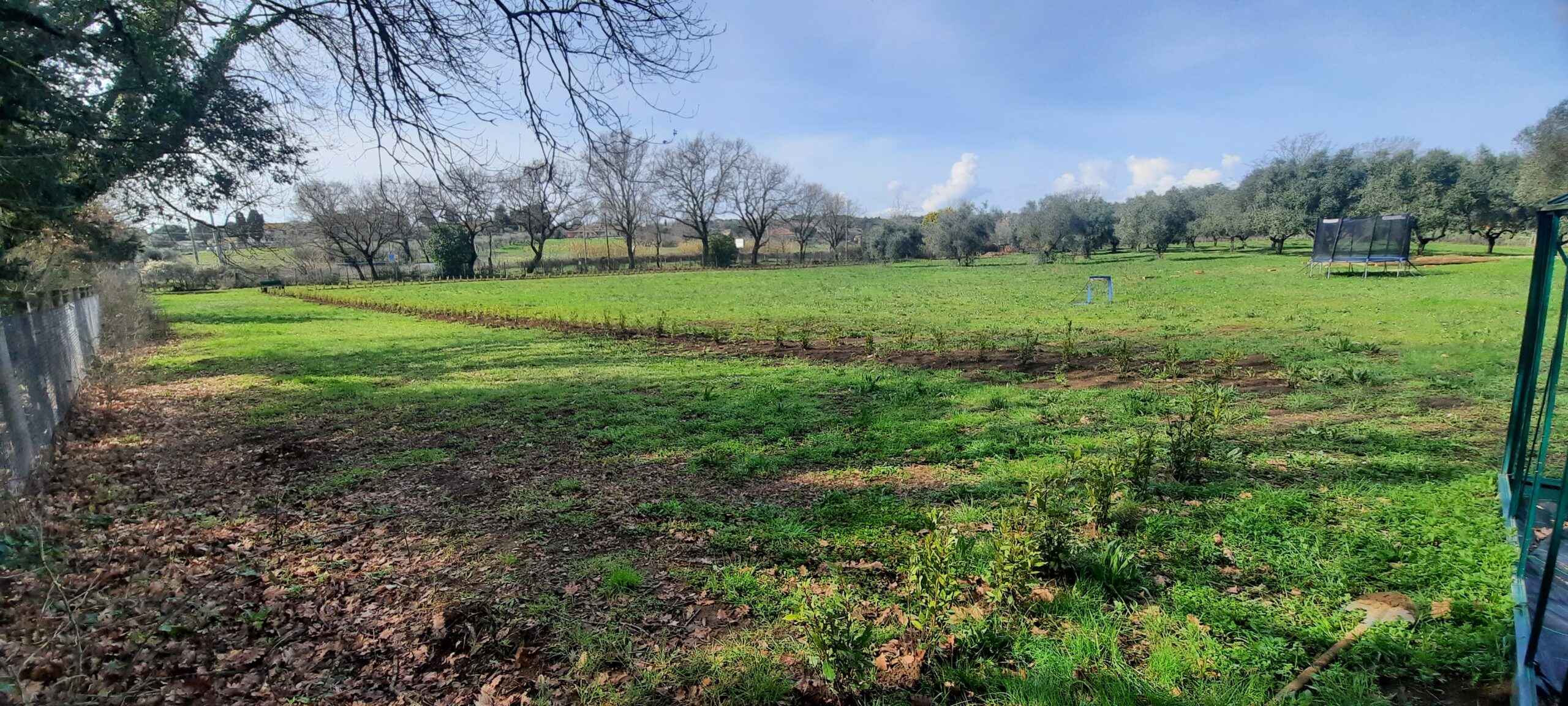 Il nostro agrumeto in crowdfunding