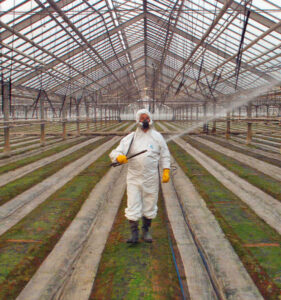 Tre “cosette” da vedere