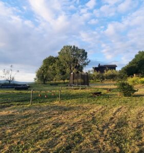 La Play Area – il parco