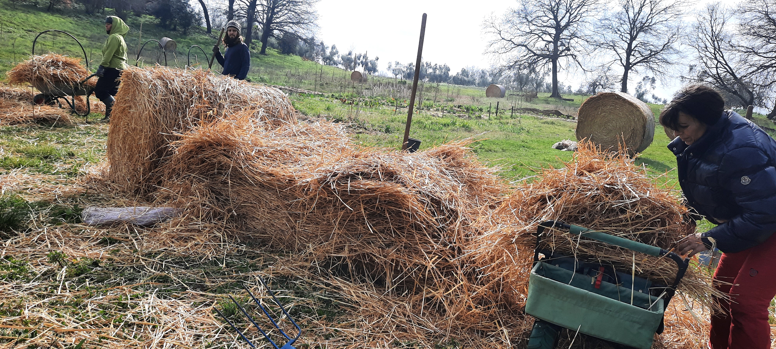 Grace Land Natural Farm & Life